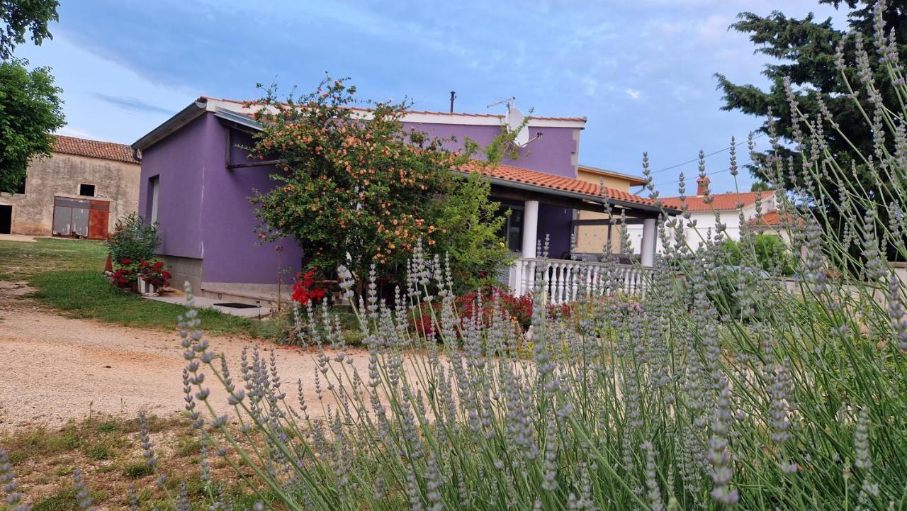 Charming Cozy Holliday House 2+2 Vakantiehuis Valtura